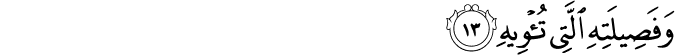 وَفَصِيلَتِهِ الَّتِي تُؤْوِيهِ