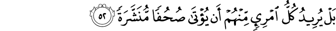 بَلْ يُرِيدُ كُلُّ امْرِئٍ مِّنْهُمْ أَن يُؤْتَىٰ صُحُفًا مُّنَشَّرَةً