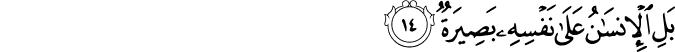 بَلِ الْإِنسَانُ عَلَىٰ نَفْسِهِ بَصِيرَةٌ
