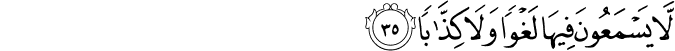 لَّا يَسْمَعُونَ فِيهَا لَغْوًا وَلَا كِذَّابًا