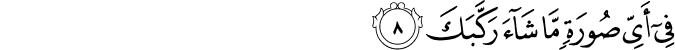 فِي أَيِّ صُورَةٍ مَّا شَاءَ رَكَّبَكَ