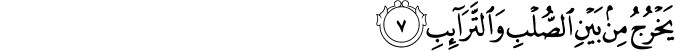 يَخْرُجُ مِن بَيْنِ الصُّلْبِ وَالتَّرَائِبِ