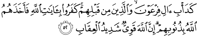 كَدَأْبِ آلِ فِرْعَوْنَ ۙ وَالَّذِينَ مِن قَبْلِهِمْ ۚ كَفَرُوا بِآيَاتِ اللَّهِ فَأَخَذَهُمُ اللَّهُ بِذُنُوبِهِمْ ۗ إِنَّ اللَّهَ قَوِيٌّ شَدِيدُ الْعِقَابِ