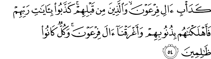 كَدَأْبِ آلِ فِرْعَوْنَ ۙ وَالَّذِينَ مِن قَبْلِهِمْ ۚ كَذَّبُوا بِآيَاتِ رَبِّهِمْ فَأَهْلَكْنَاهُم بِذُنُوبِهِمْ وَأَغْرَقْنَا آلَ فِرْعَوْنَ ۚ وَكُلٌّ كَانُوا ظَالِمِينَ