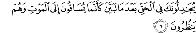 يُجَادِلُونَكَ فِي الْحَقِّ بَعْدَ مَا تَبَيَّنَ كَأَنَّمَا يُسَاقُونَ إِلَى الْمَوْتِ وَهُمْ يَنظُرُونَ