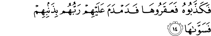 فَكَذَّبُوهُ فَعَقَرُوهَا فَدَمْدَمَ عَلَيْهِمْ رَبُّهُم بِذَنبِهِمْ فَسَوَّاهَا