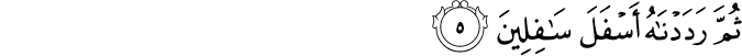 ثُمَّ رَدَدْنَاهُ أَسْفَلَ سَافِلِينَ