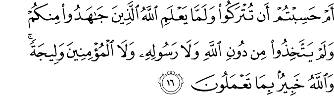أَمْ حَسِبْتُمْ أَن تُتْرَكُوا وَلَمَّا يَعْلَمِ اللَّهُ الَّذِينَ جَاهَدُوا مِنكُمْ وَلَمْ يَتَّخِذُوا مِن دُونِ اللَّهِ وَلَا رَسُولِهِ وَلَا الْمُؤْمِنِينَ وَلِيجَةً ۚ وَاللَّهُ خَبِيرٌ بِمَا تَعْمَلُونَ