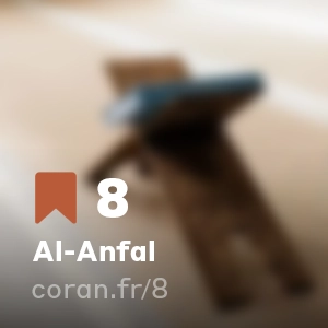 Sourate Al-Anfal (n°8)